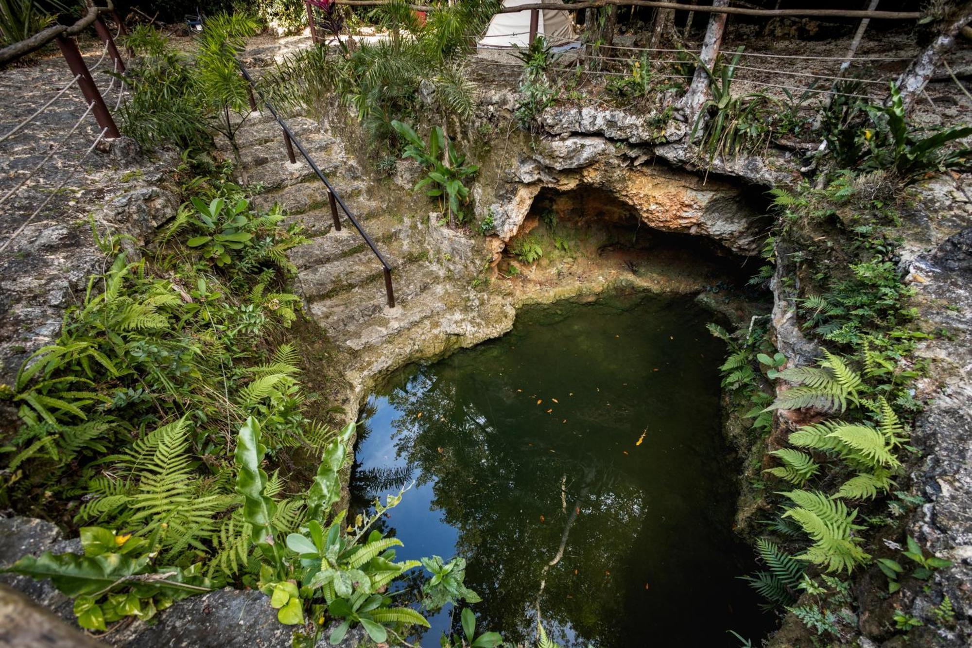 Cheel Lodge & Camping Puerto Morelos Εξωτερικό φωτογραφία