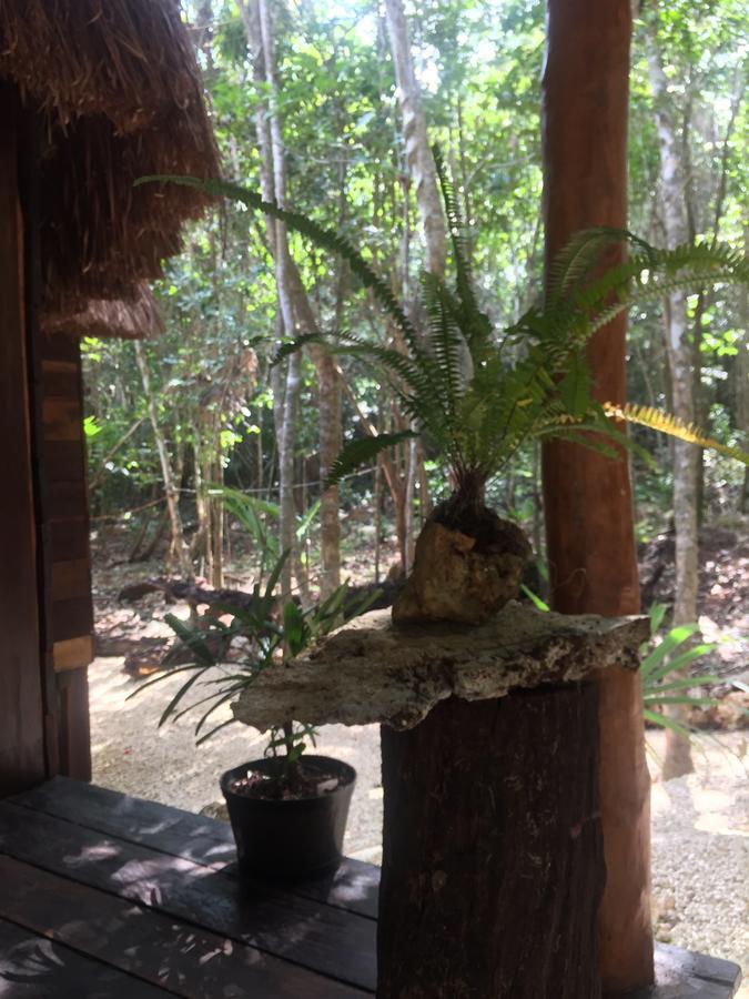 Cheel Lodge & Camping Puerto Morelos Εξωτερικό φωτογραφία