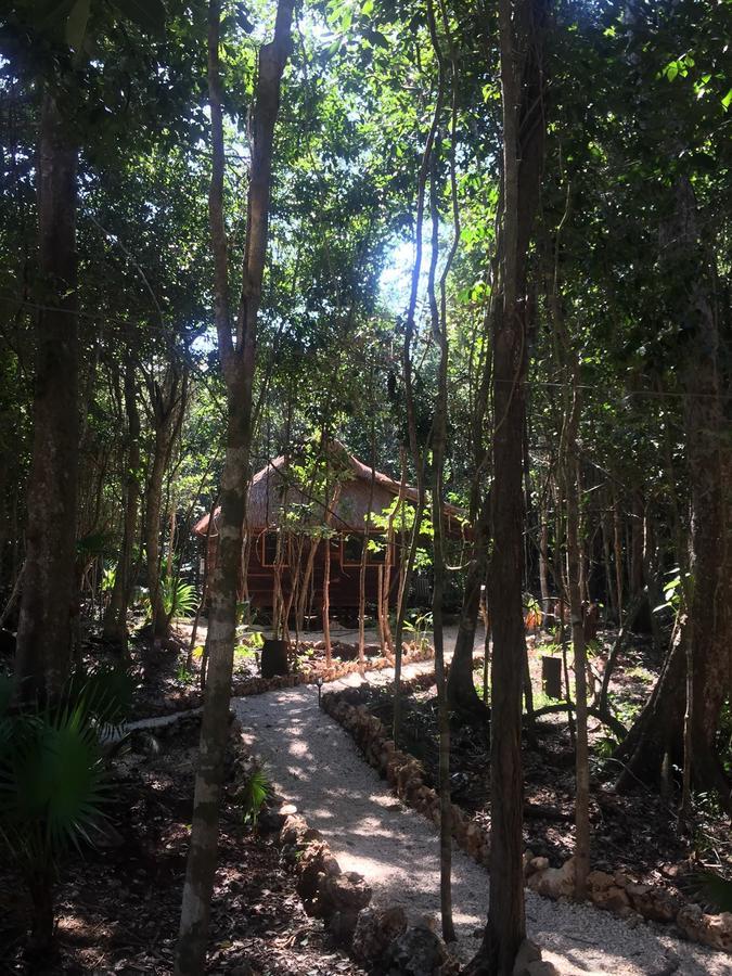 Cheel Lodge & Camping Puerto Morelos Εξωτερικό φωτογραφία